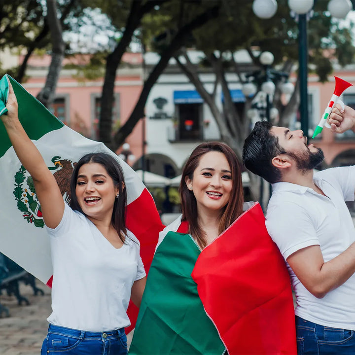 MEXICO NYLON PRINT FLAG - 3x5