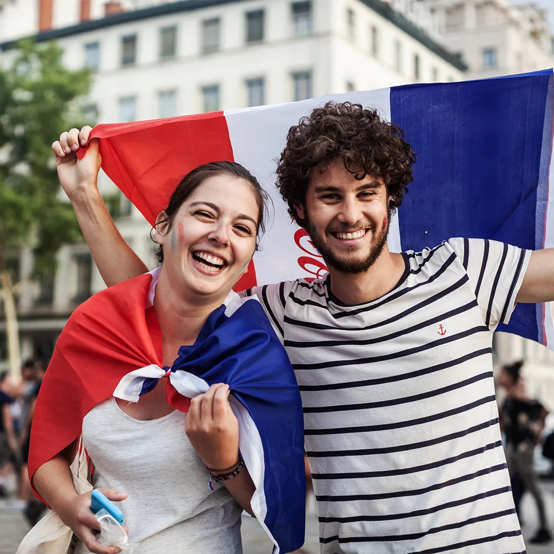 FRANCE NYLON PRINT FLAG - 3x5