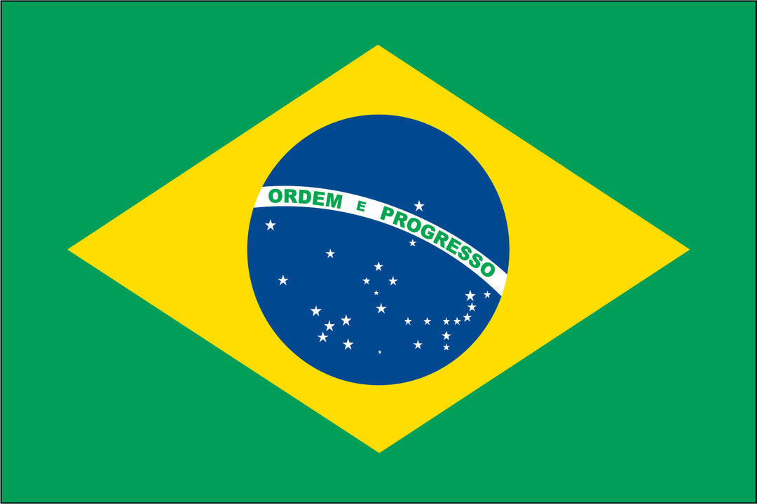 BRAZIL NYLON PRINT FLAG - 3x5