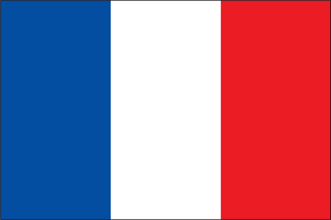 FRANCE NYLON PRINT FLAG - 3x5