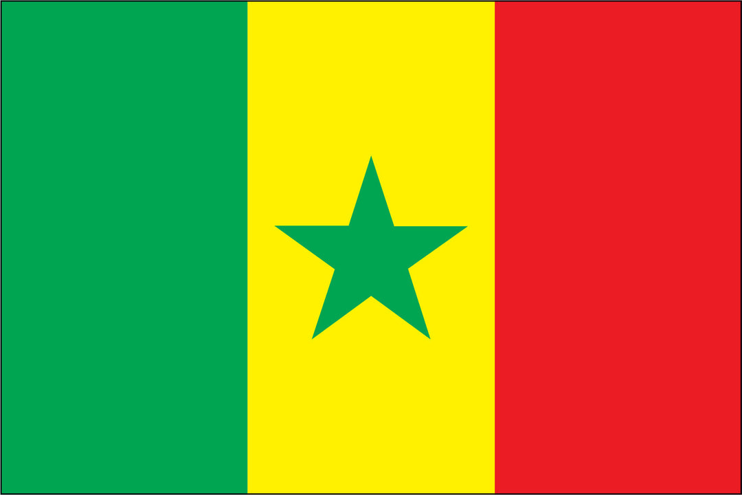 SENEGAL NYLON PRINT FLAG - 3x5