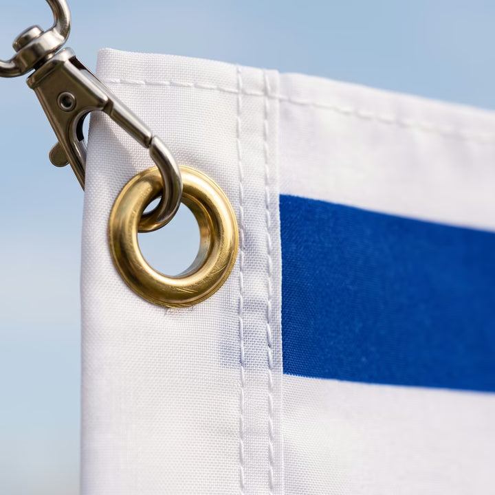 Israel Flag