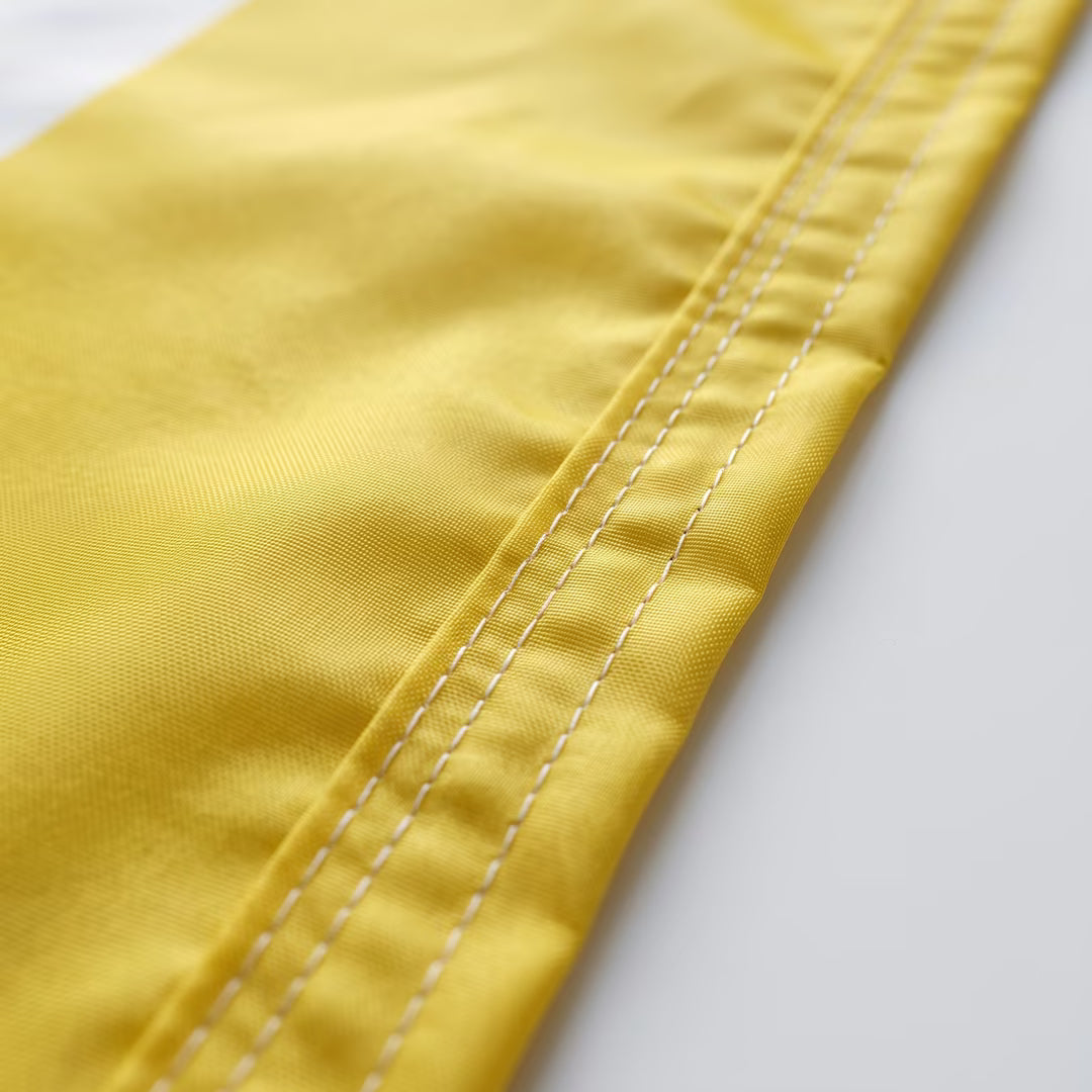 Papal Flag