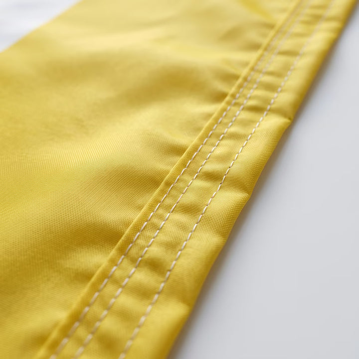 Papal Flag