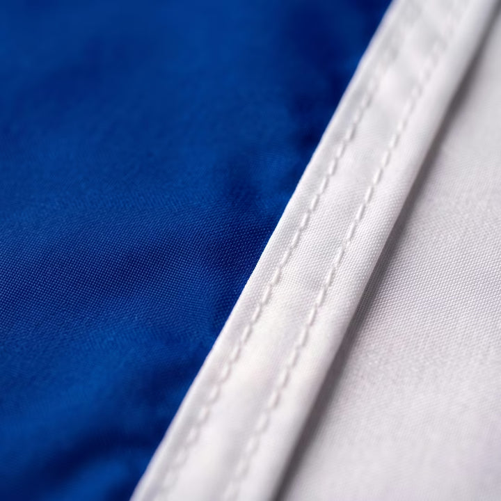 Israel Flag